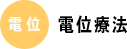 電位療法