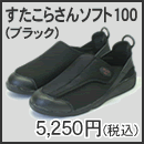すたこらさんソフト100